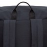 Рюкзак GRIZZLY RXL-325-2 черный - мятный