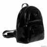 Сумка рюкзак Constanta 1-2840-879