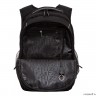Рюкзак школьный GRIZZLY RB-250-4/3 (/3 черный - черный)