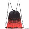 Рюкзак школьный с мешком Grizzly RA-870-2/2 (/2 черный - красный)