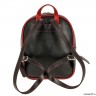 Женский рюкзак VD189 black/red