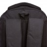 Рюкзак школьный GRIZZLY RG-360-2/1 (/1 черный)
